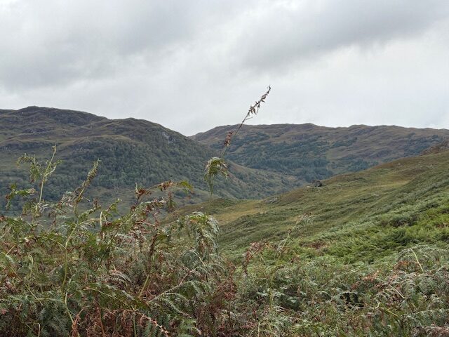 Paysage