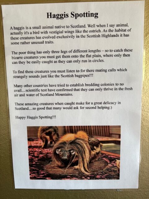 Haggis