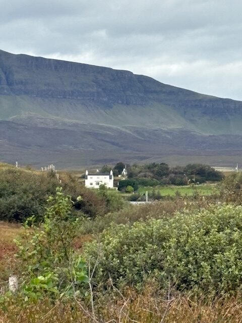 Paysage