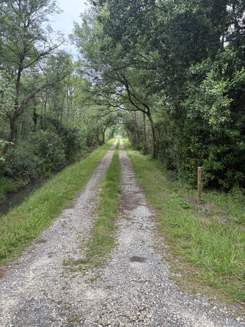 Petite route matinale