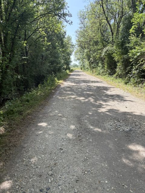 Chemin ombre