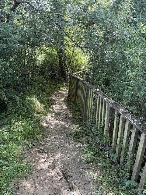 Chemin ombre