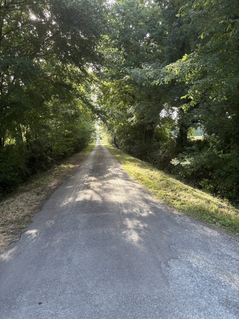 Chemin ombragé