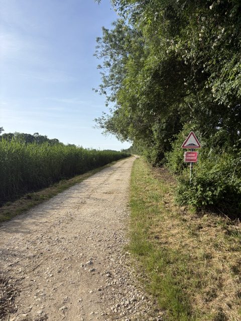 Plein soleil