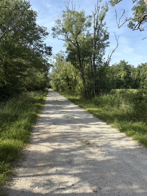 Chemin mitigé
