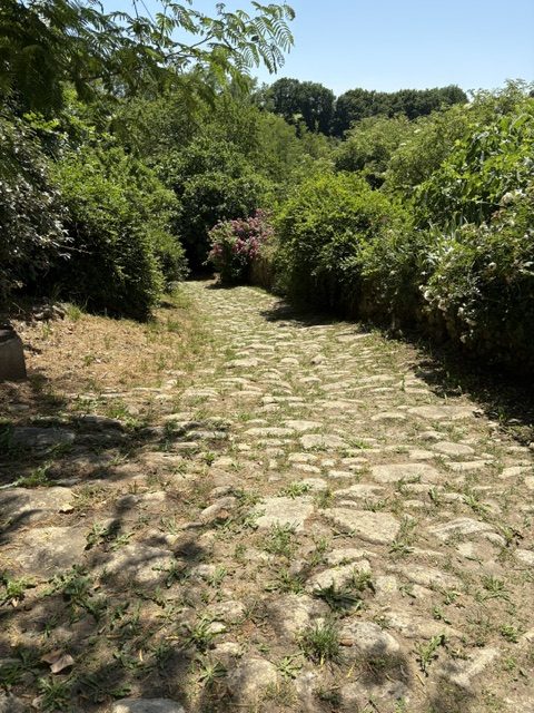 Castelmont d’Albret