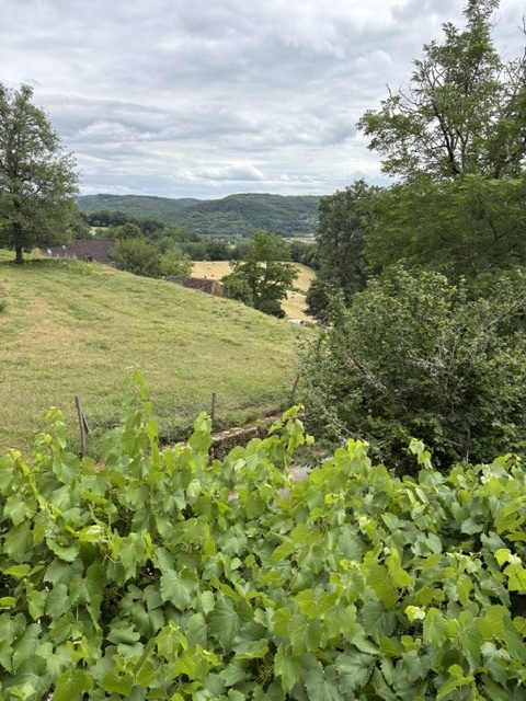Vue chambre Beynac
